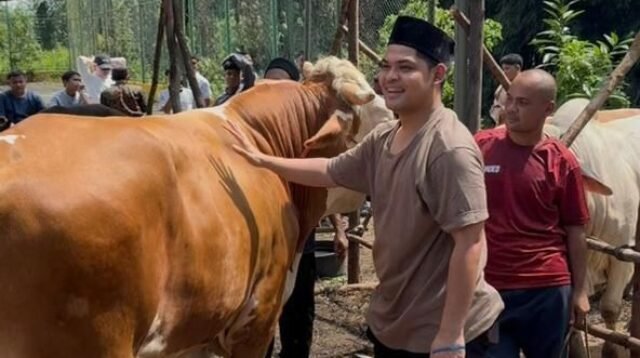 Foto: Daffa Maulana | Penyerahan Sapi Kurban Idul Adha 1447 H 2026 M